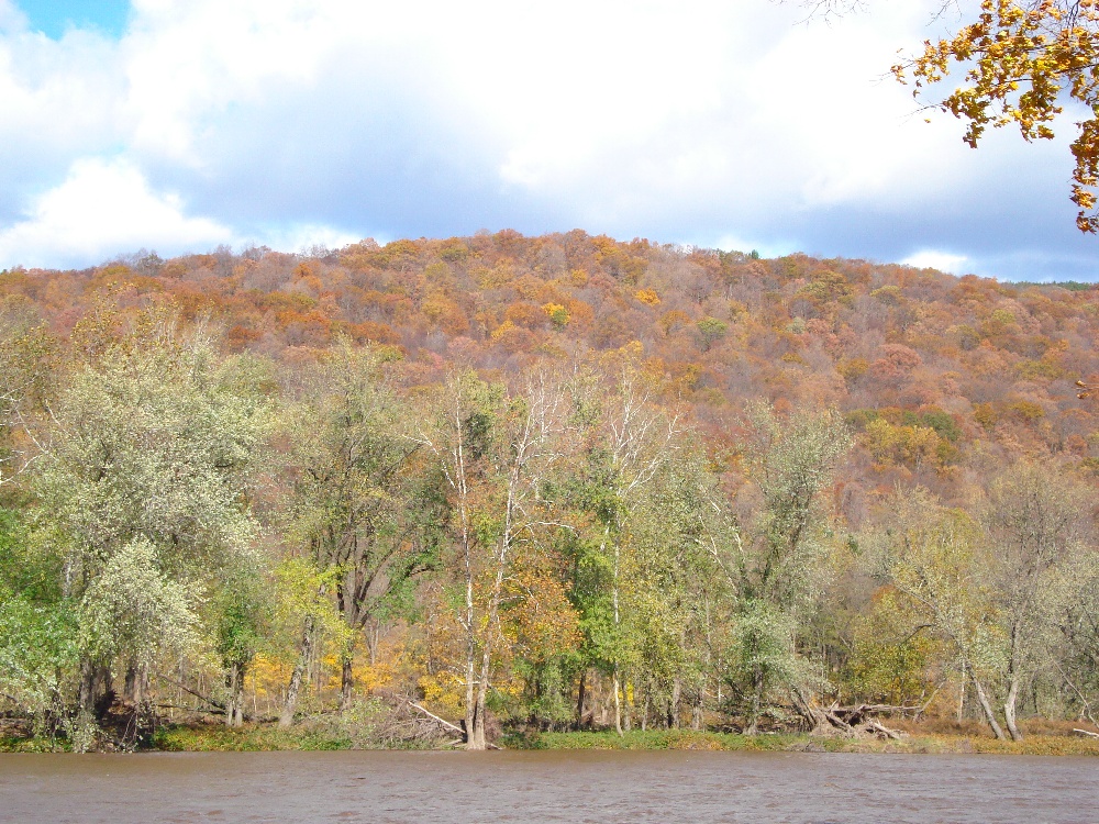 Delaware River near Roscoe