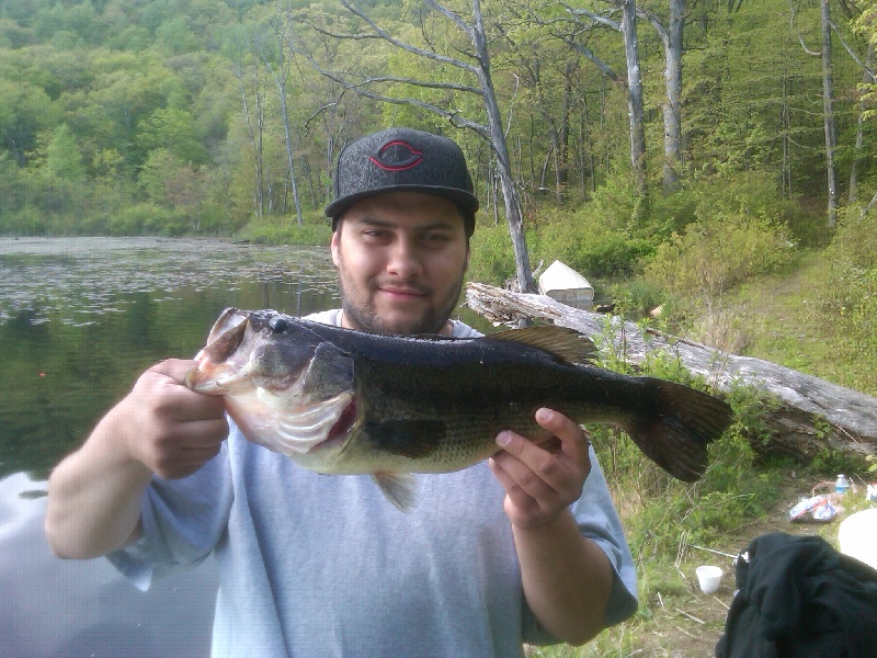 Chestnut Ridge fishing photo 1