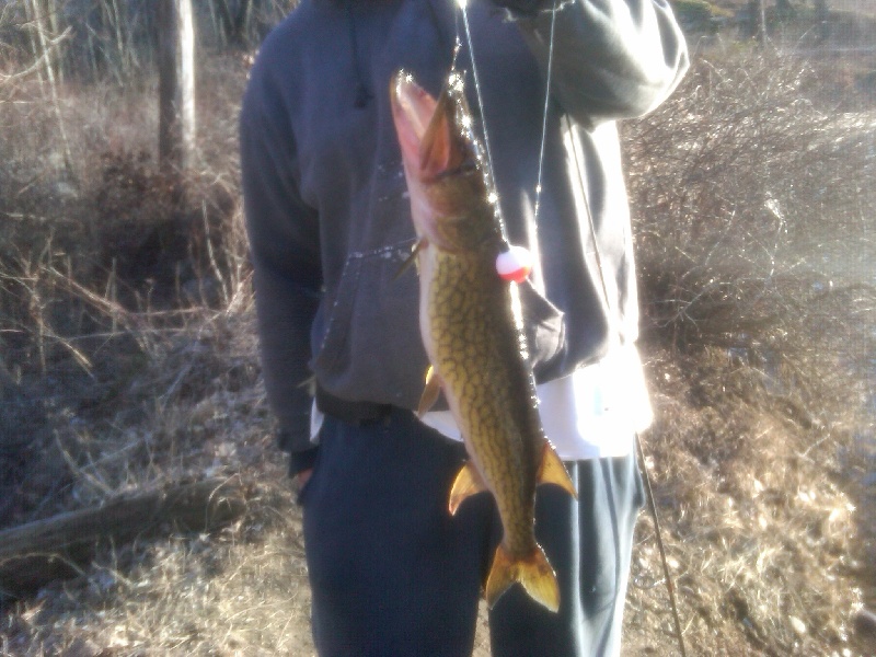 Elmsford fishing photo 1