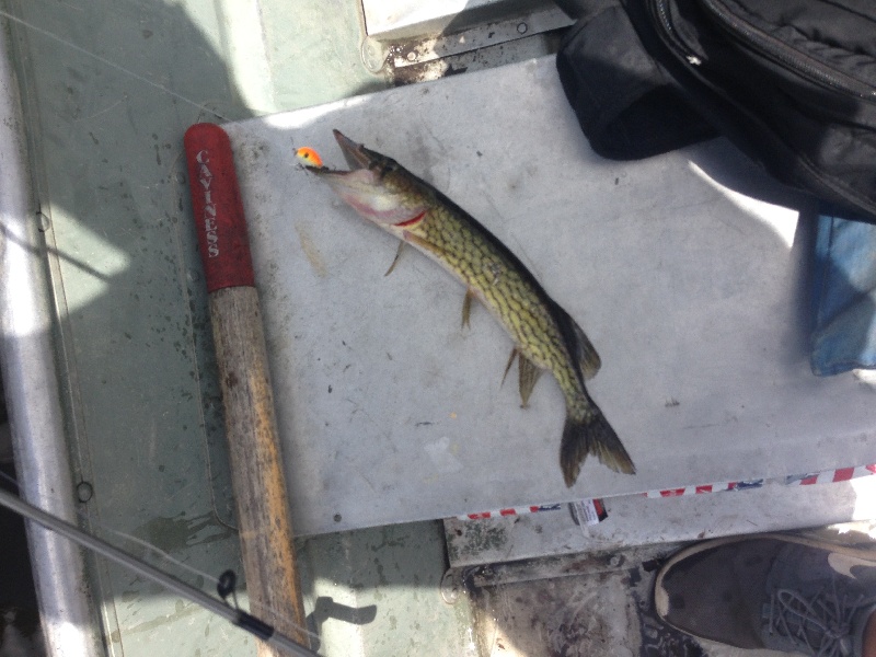 Livingston Manor fishing photo 0