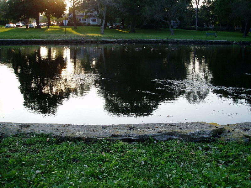 Milford Duck Pond