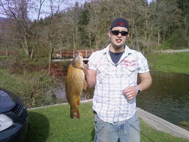 Carp near Homer