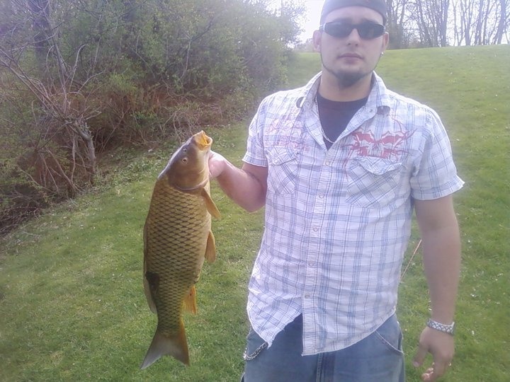 Carp near McGraw