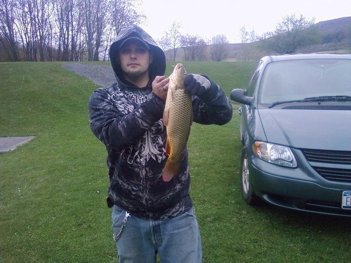 Carp near Lisle