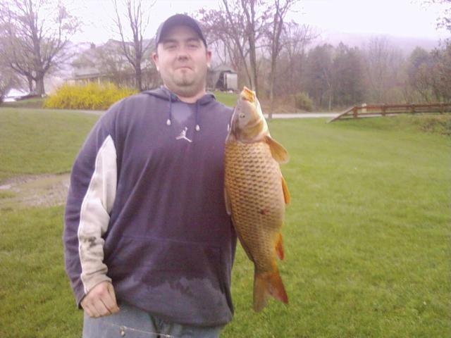 Carp near Whitney Point