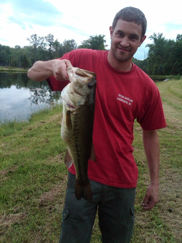 NY Pig near Lake Katrine