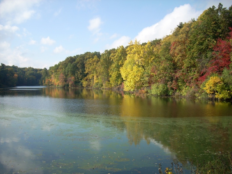 Gorgeous in the fall! near Webster