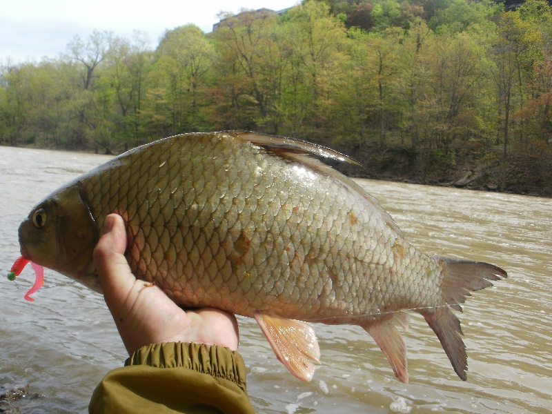 Churchville fishing photo 1