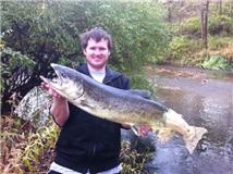 ZOMBIE SALMON near Caledonia