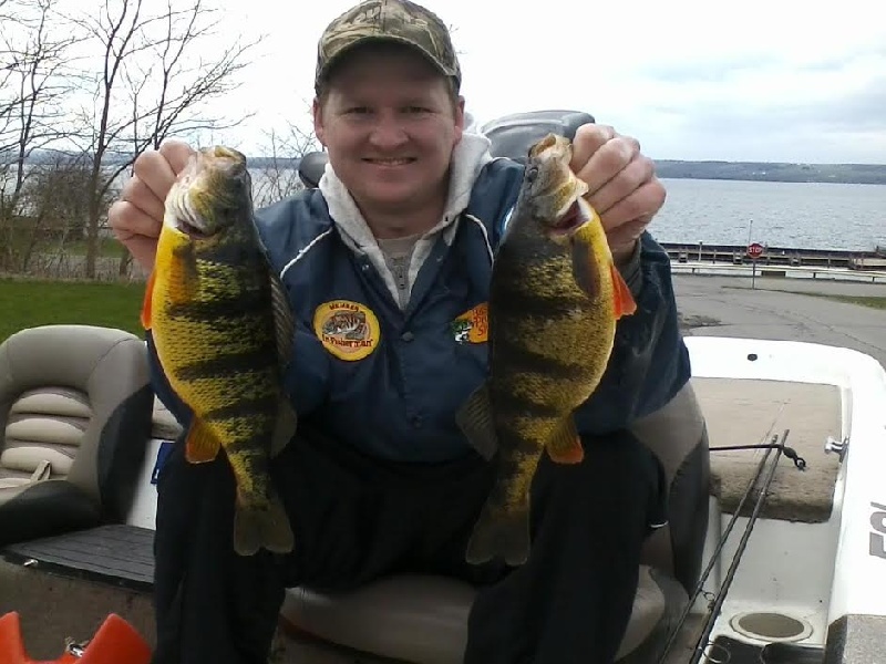 two monster perch near Wolcott