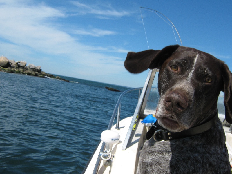 Wading River fishing photo 3