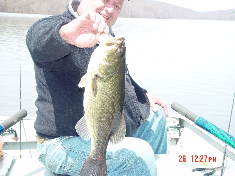 SMALLMOUTH BASS near Hillside Lake