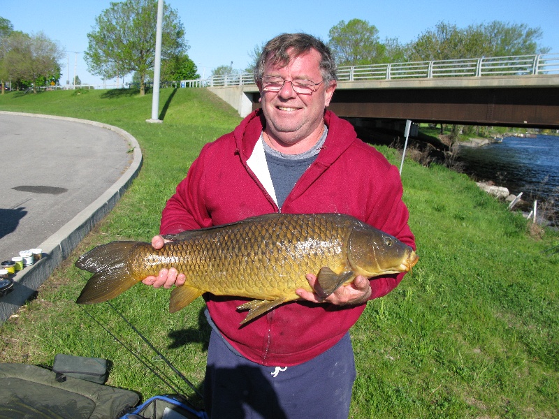 Carp near Rensselaer Falls