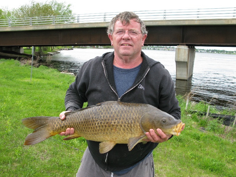 carp near Heuvelton