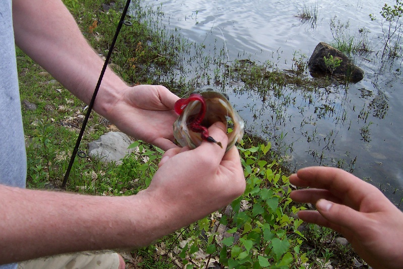 Greenwood Lake fishing photo 5