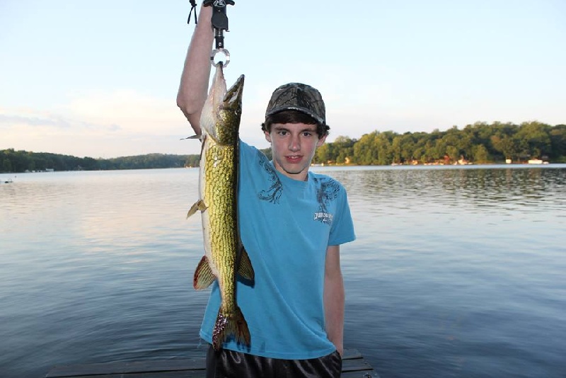 Nice chain pickerel