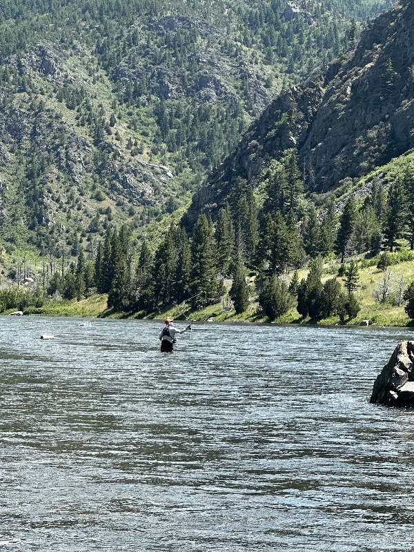 Fly fishing Montana