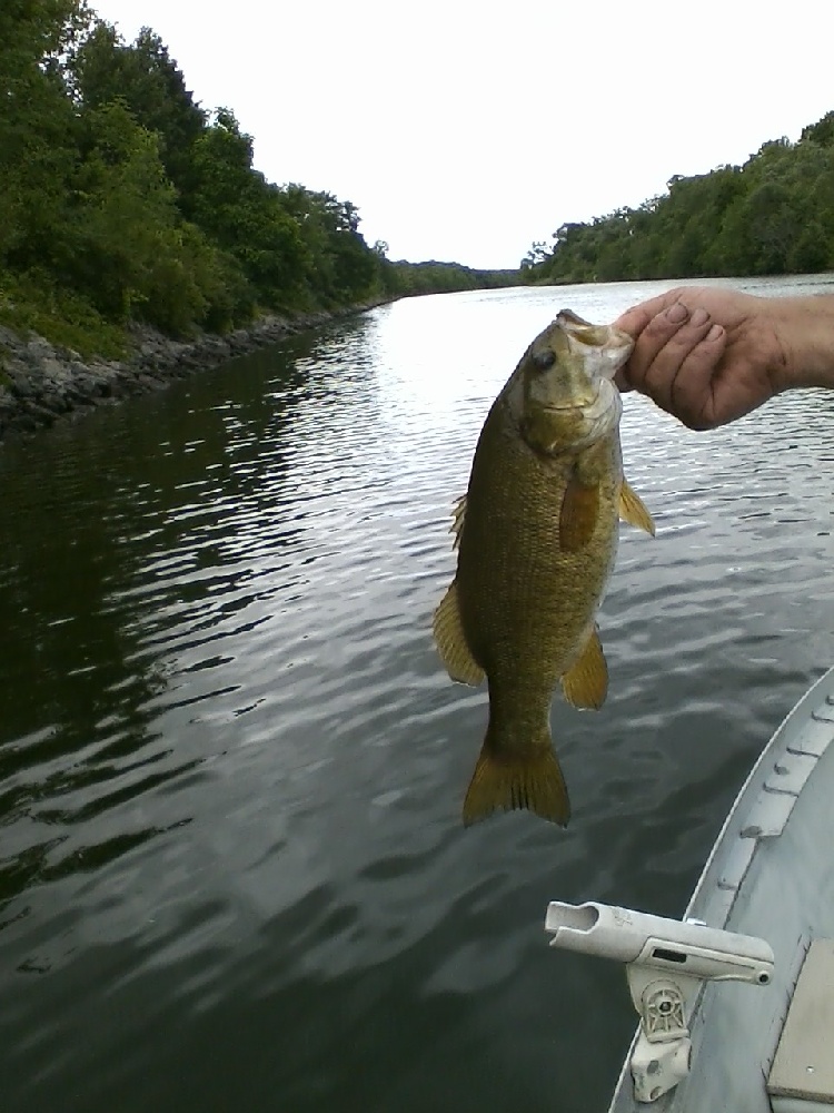 Fishing near Clark Mills