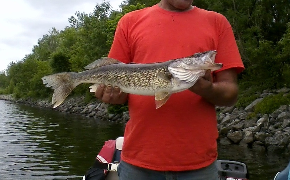 Fishing near Whitesboro