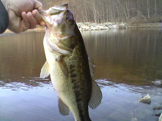 Manhattan Community Board 7 fishing photo 4