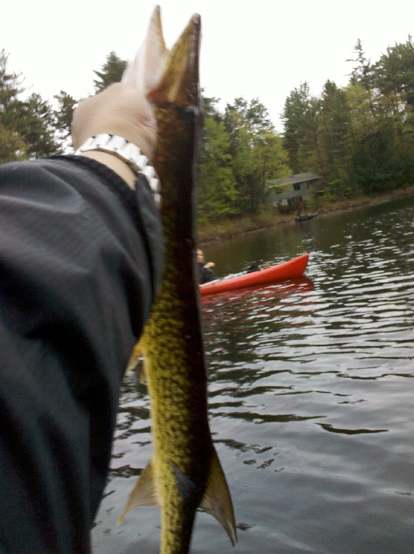 Pickerel Pond