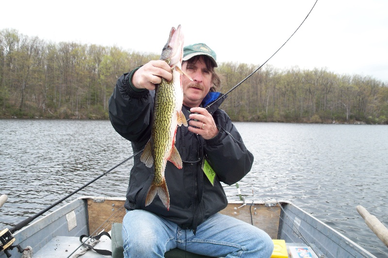 Late April Waywayanda Pickerel