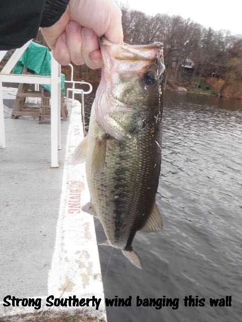 Cupsaw Lake near Greenwood Lake