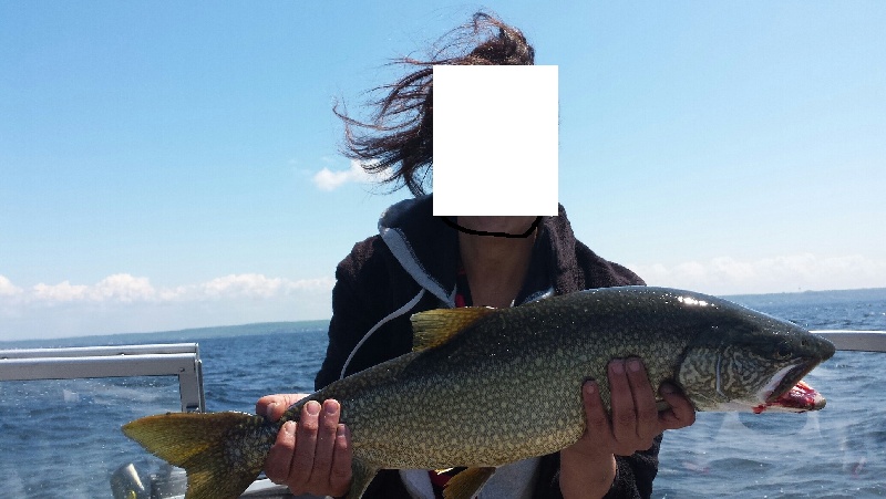 trout browns and lakers near Dexter