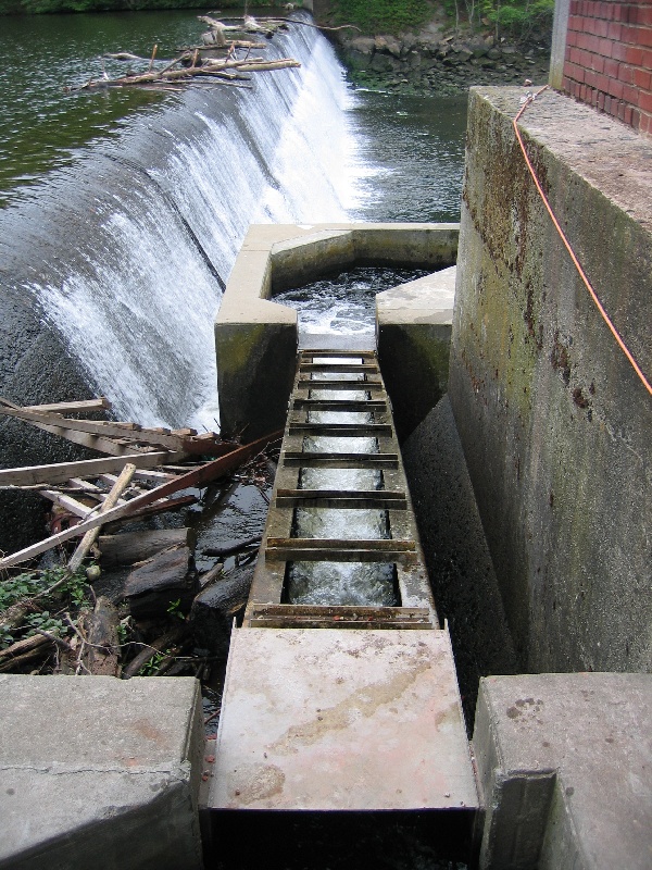 Mianus River Fishway near Elwood