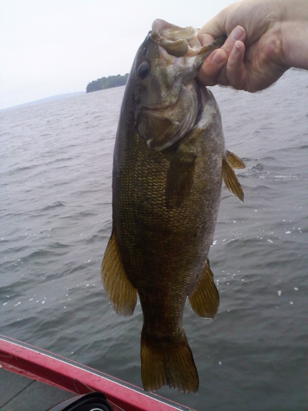 Champlain smallie near Plattsburgh West