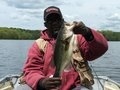 ELITE BASS FISHING 