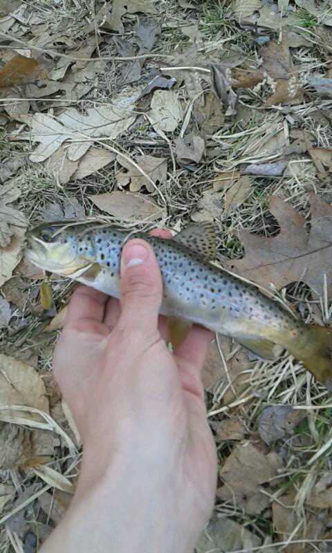 Fort Salonga fishing photo 5