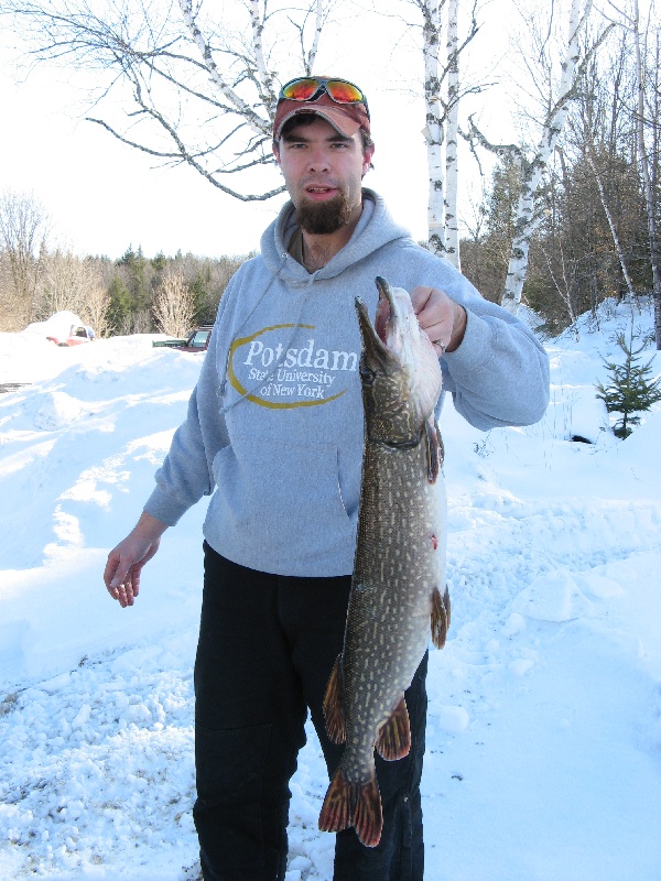 8lb Northern