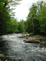 Ausable/St. Regis Canoe Trip