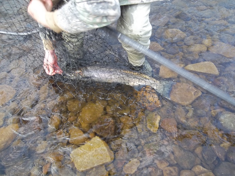 Cleveland fishing photo 4