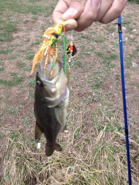 my first largemouth bass near Chestnut Ridge