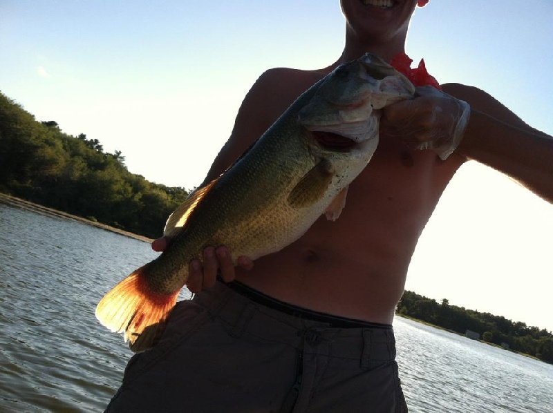 Largemouth 5lb 3oz