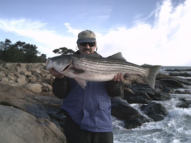 Striper