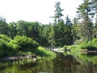 Beaver River