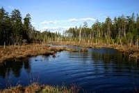 Bog River