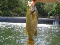 Chadakoin River