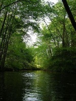 East Branch Croton River