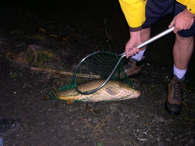 Village of Menands fishing photo 2