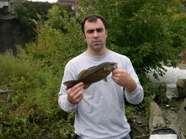 Hampton Manor fishing photo 1