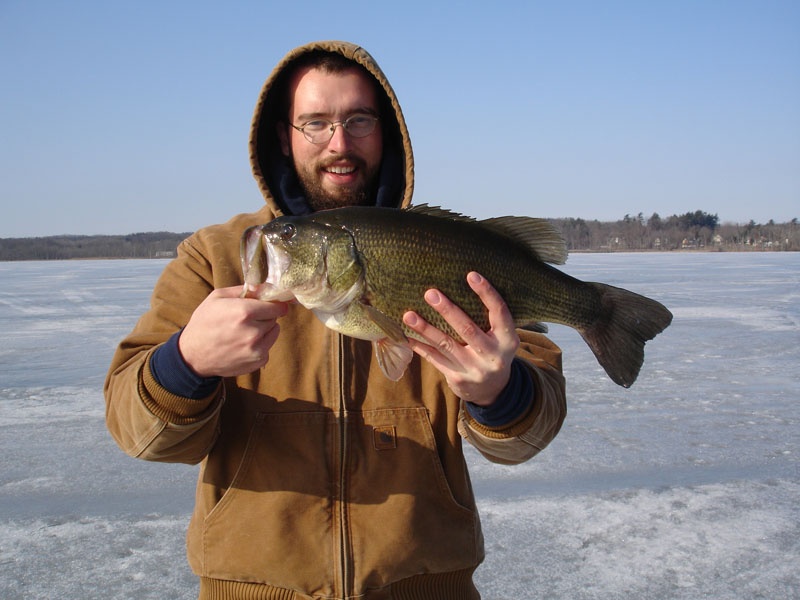 5 1/2 lbs. near Country Knolls