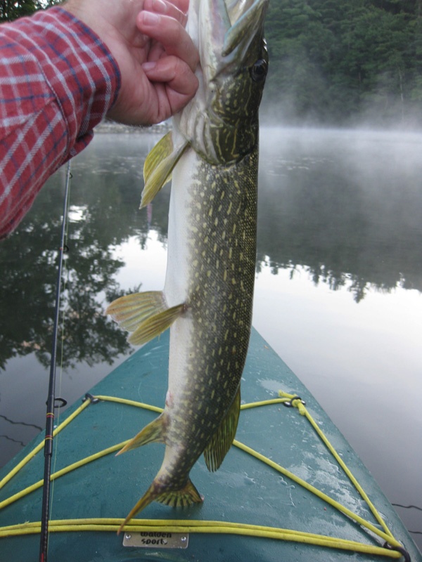 Hudson Falls fishing photo 5