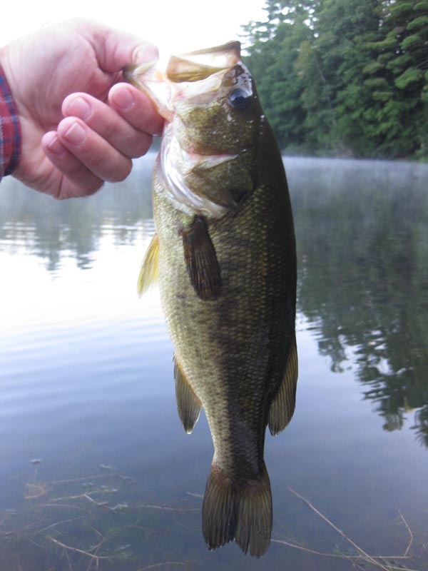 Warrensburg fishing photo 5