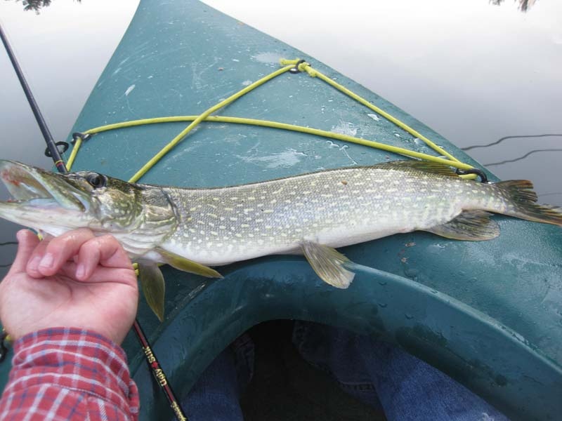 Fort Ann fishing photo 3