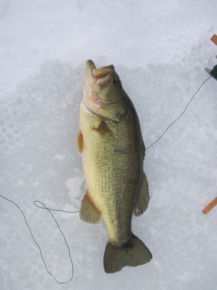 Duane Lake fishing photo 4