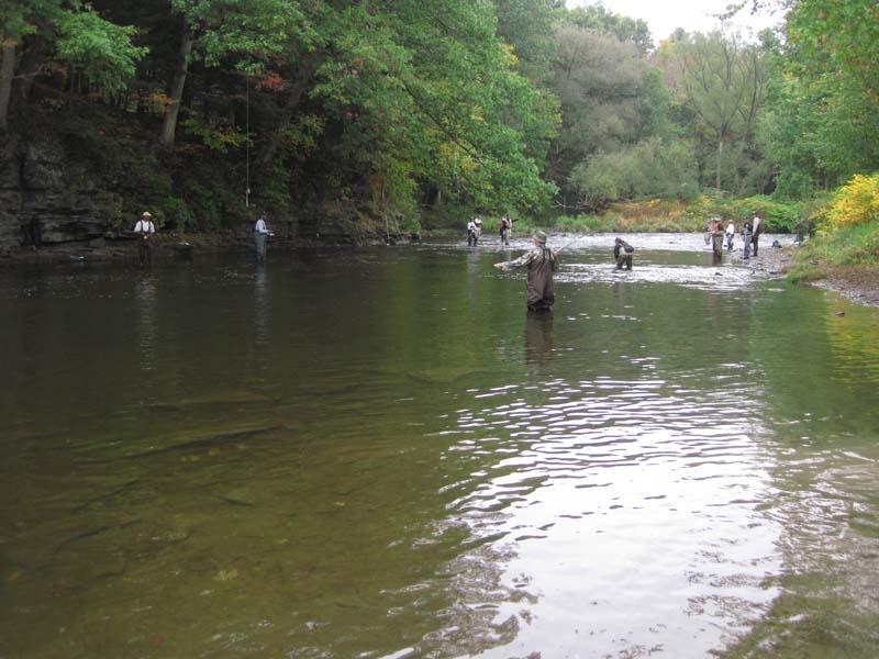 Pulaski fishing photo 1